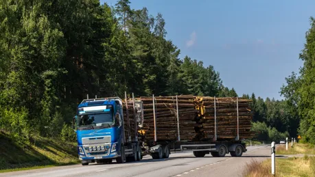 iStock-2234068118_low.jpg.