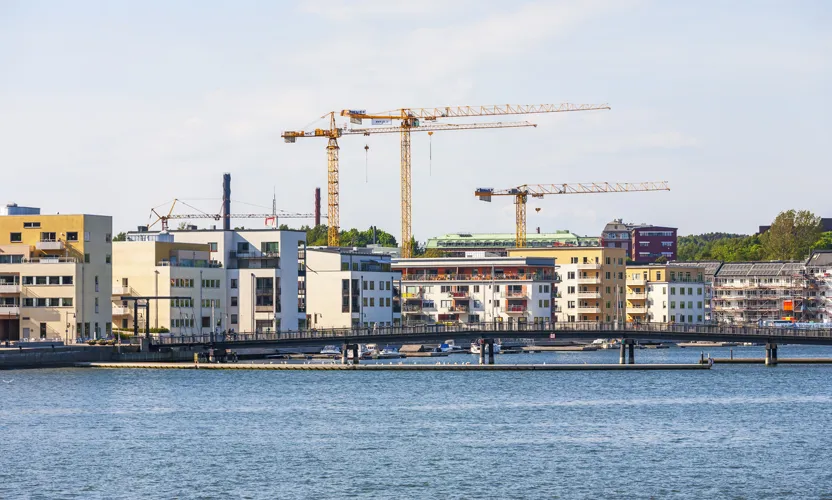 iStock-1303277344.jpg.